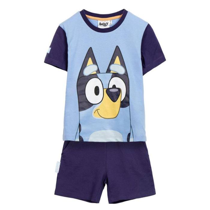 Bluey outfit 4954